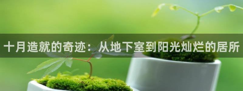 狗子28登录