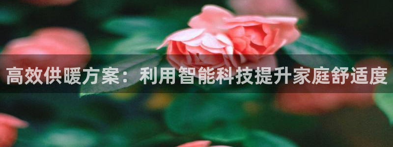 狗子28系统